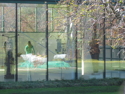 Photography--Digital-NatureTransparency. JPG