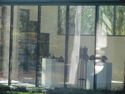 Photography--Digital-NatureTransparency II. JPG