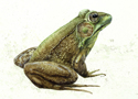 Charming (thumbnail)