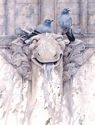 The%20Roost (thumbnail)