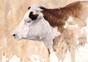 No%20Bull (thumbnail)