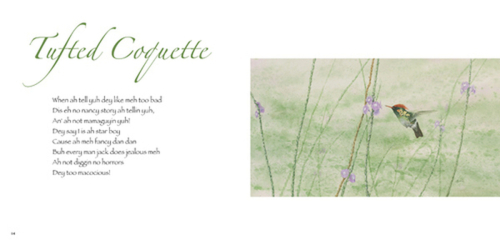 pages 14,15 pages%2014%2C15 (thumbnail)