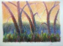 #13 Cottonwood and Corn Sunset