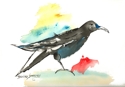 Blackbird%20Fourteen (thumbnail)