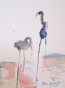Wading%20Birds (thumbnail)