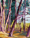 A Walk in the Woods