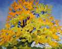 Golden Oak