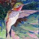 Hummingbird%203 (thumbnail)