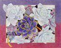 Succulents (thumbnail)