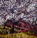 Cherry%20Blossom%20Entrance (thumbnail)