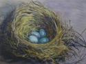 Nest