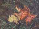 Fall Gently