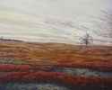 Barren