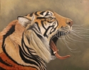 Yawning%20Tiger (thumbnail)