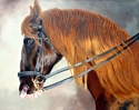 Strong%20Profile (thumbnail)