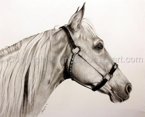 Pencil Drawings (click on + to enlarge)