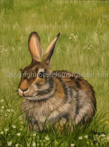 Rabbit (large view)