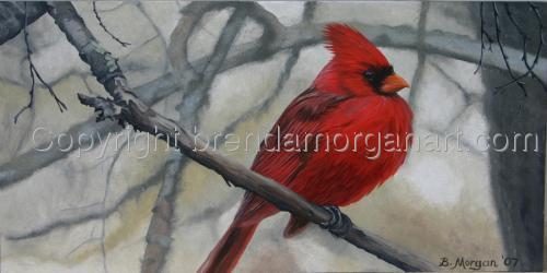 Backyard%20Cardinal (thumbnail)