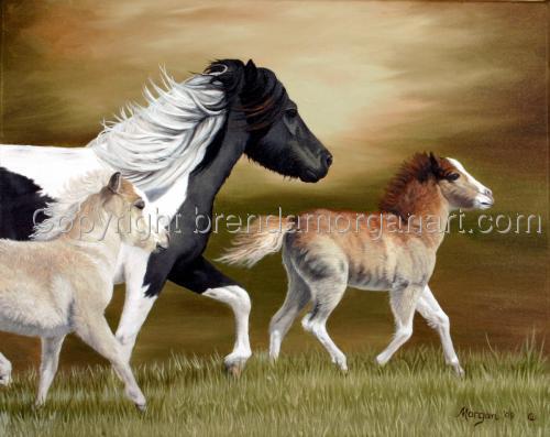 Small%20Wonders%20%28Miniature%20Horses%29 (large view)