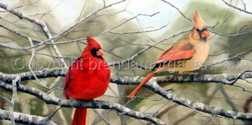 Cardinal%20Couple (thumbnail)
