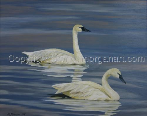 Swan%20Lake (large view)
