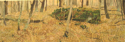 Brian McCormick - Landscape Painting Brian McCormick, watercolor, landscape, woods, trees, autumn, fall, rocks, driftless, paper - Landscape Painting