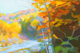 Painting--Oil-LandscapeFall Riverbank