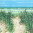 Sandy%20Imprint (thumbnail)