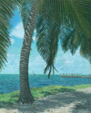 Under%20Palm%20Shadows (thumbnail)