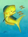 Mahi%20Mahi (thumbnail)