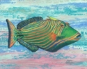 Fishy%20Details (thumbnail)