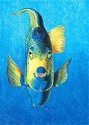 Paulina (thumbnail)