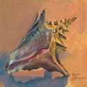 Conchcolorstudy1 (thumbnail)