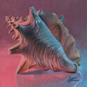 Conchcolorstudy2 (thumbnail)