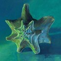 Conchcolorstudy3 (thumbnail)