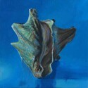 Conchcolorstudy4 (thumbnail)