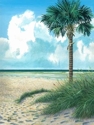 Soak%20Up%20The%20Sun (thumbnail)