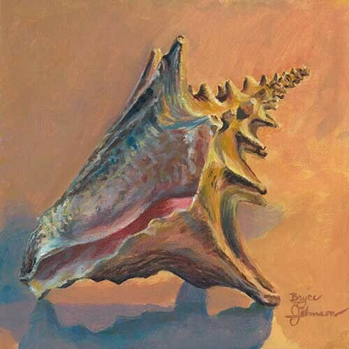 Conchcolorstudy1 (large view)