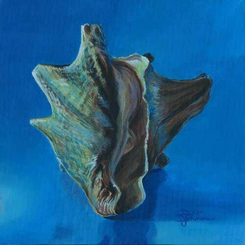 Conchcolorstudy4 (large view)