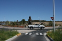 Mother Bear and Cubs in Traffic Circle