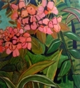 Jungle%20Phlox (thumbnail)