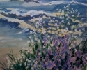 Wildflowers%20Westport%20Landing%20California (thumbnail)
