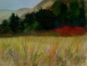 Meadow (thumbnail)