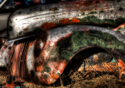 Ford%20Tough%20%234014 (thumbnail)