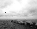 Bird%20Island (thumbnail)