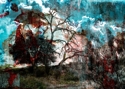 Foreclosed%20%238554 (thumbnail)