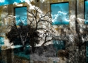 Foreclosed%20II%20%238554 (thumbnail)