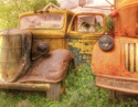 Ford%20Tough%20%235114 (thumbnail)