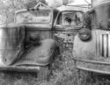 Ford%20Tough%20%235114.2 (thumbnail)