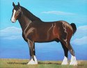 Stallion